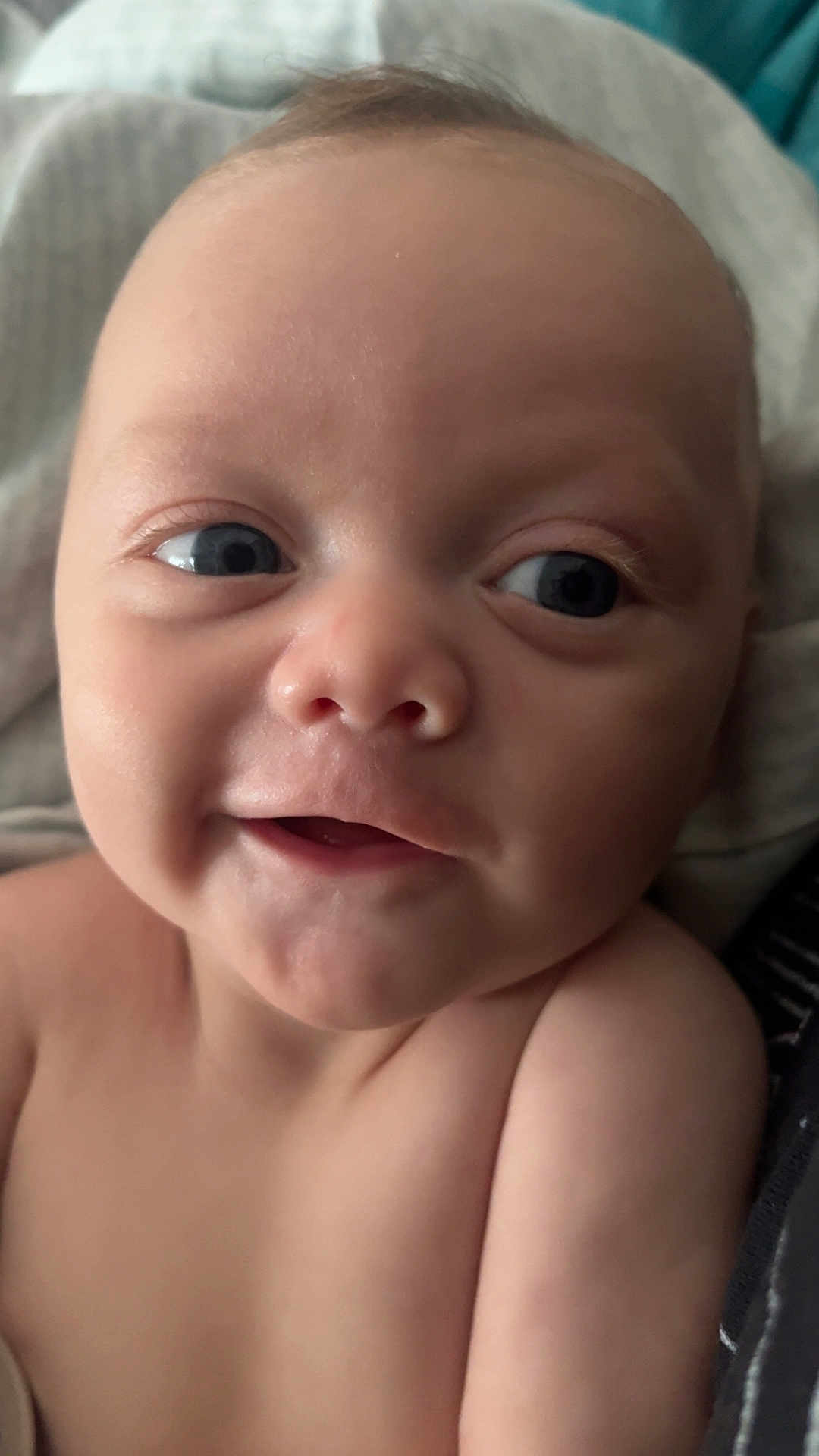 Paxton