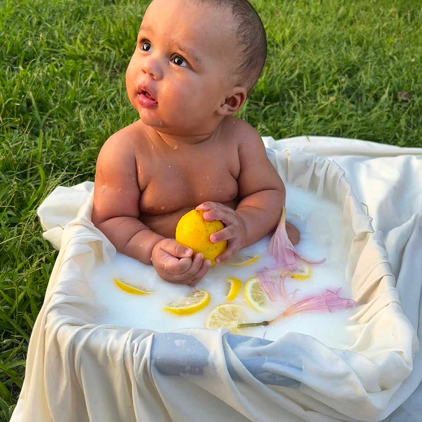 Wysdom is registered to the contest to win money with this photo: baby, child, curious, cute, flower_petals, fresh, fruit, grass, hands, lemon, milk_bath, natural_light, nature, outdoor, portrait, relaxation, sitting, skin, summer, water