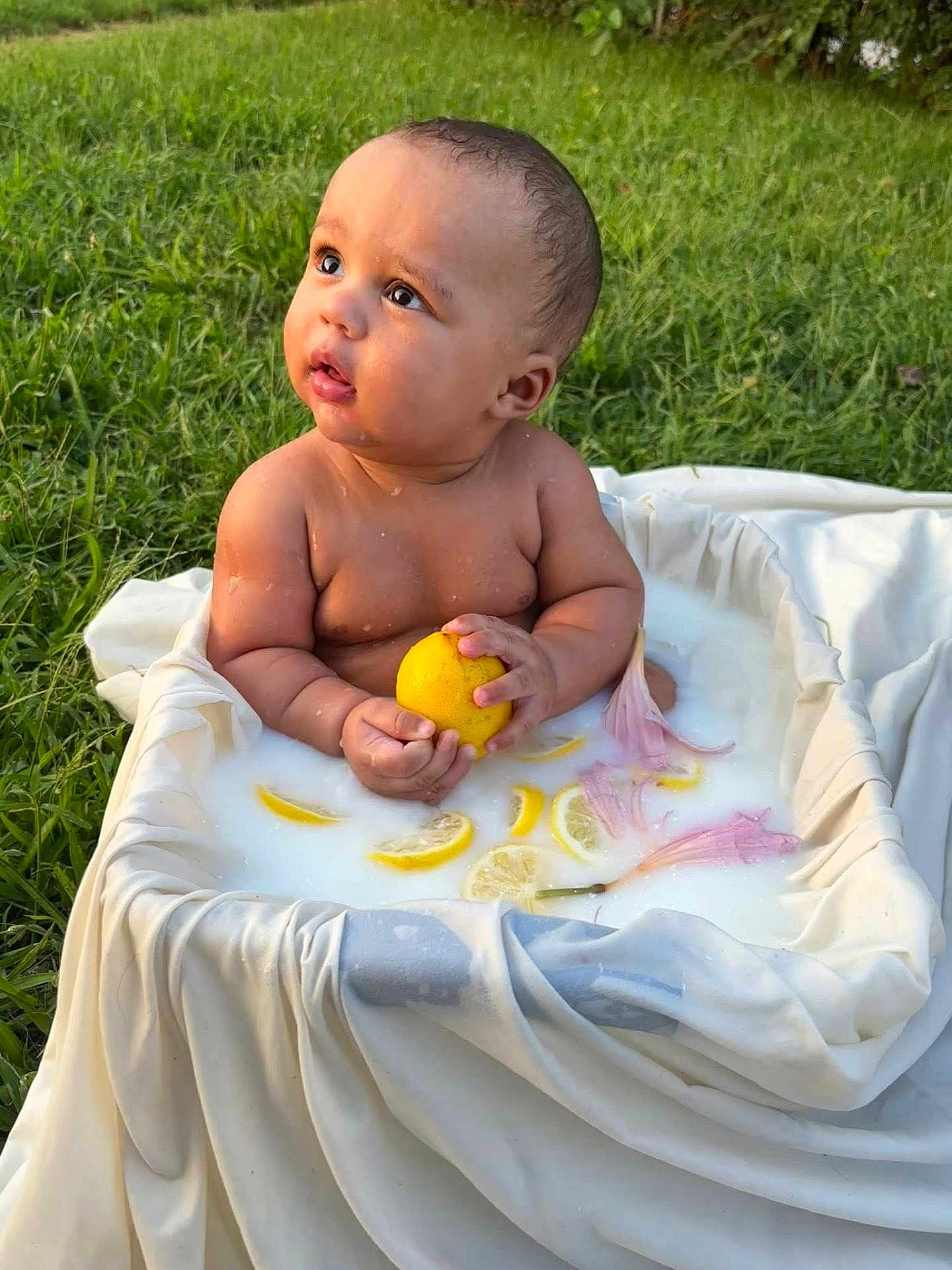 Wysdom is registered to the contest to win money with this photo: baby, milk_bath, lemon, flower_petals, grass, outdoor, child, curious, water, nature, skin, cute, summer, sitting, hands, fruit, fresh, relaxation, natural_light, portrait