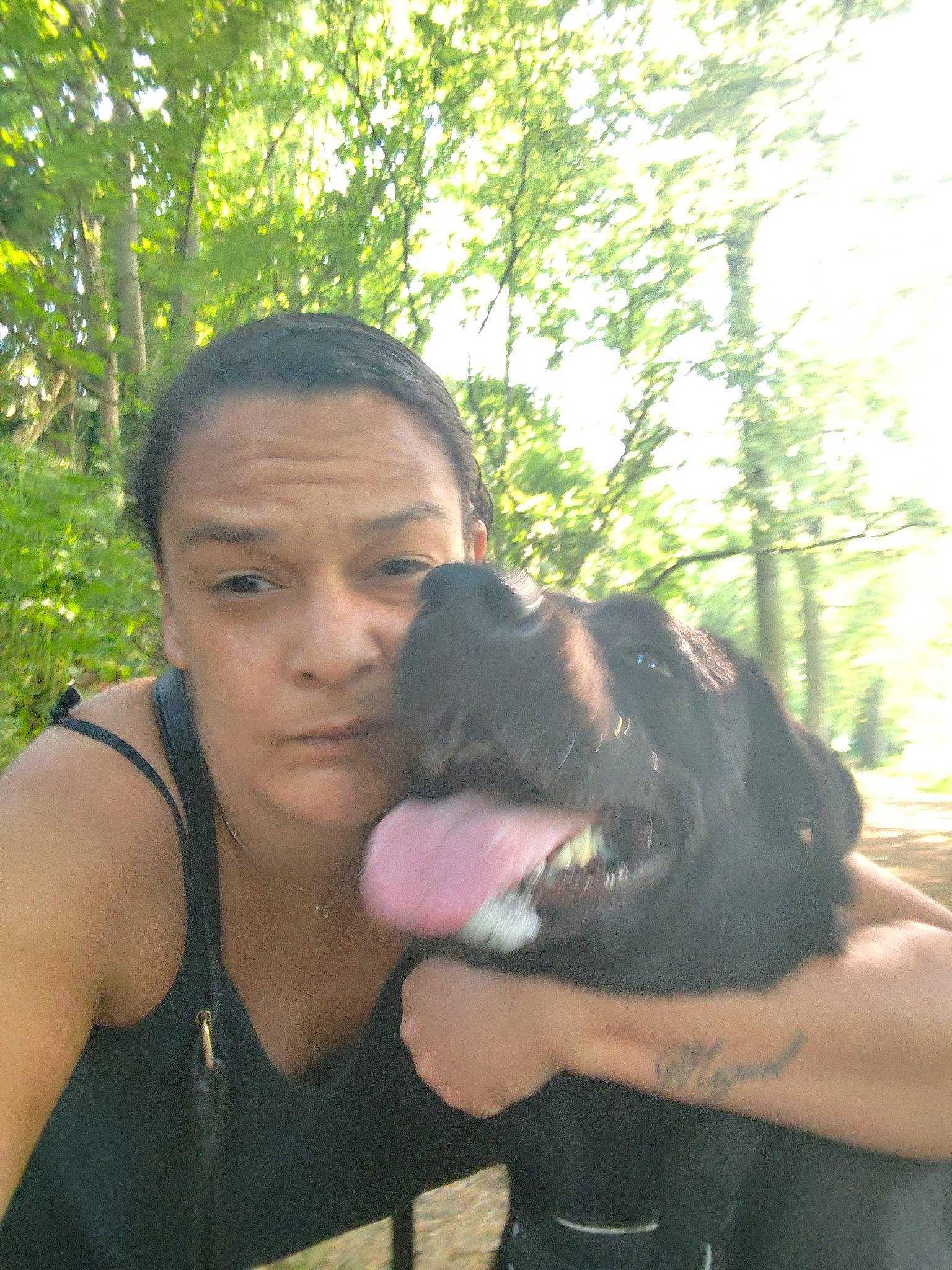 Pouchka participe au concours pour gagner de l'argent avec cette photo : carnivore, companion_dog, cool, dog, dog_breed, eyewear, fawn, fun, grass, happy, jungle, leisure, plant, recreation, sleeveless_shirt, sporting_group, t_shirt, tree, vest, working_animal