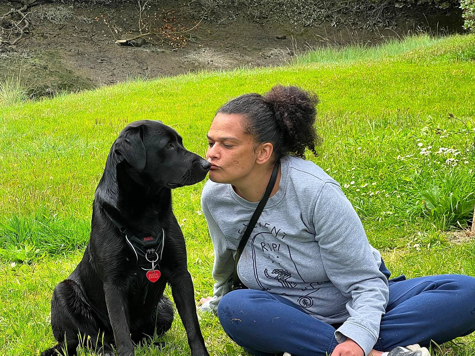 Pouchka a rejoint le concours — aidez-le/la à gagner de superbes lots ! canidae, carnivore, companion_dog, dog, dog_breed, fun, grass, grass_family, grassland, guard_dog, gun_dog, happy, jeans, lawn, leisure, people_in_nature, plant, sitting, sporting_group, working_animal