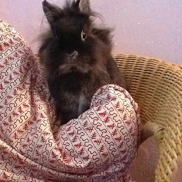 Bountie participe au concours pour gagner de l'argent avec cette photo :