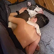 Gunner is registered to the contest to win money with this photo: bed, blanket, bond, canine, casual, child, comfort, cuddle, dog, friendship, home, human, indoor, nap, pet, pillow, relaxation, rest, sleeping, wooden_wall