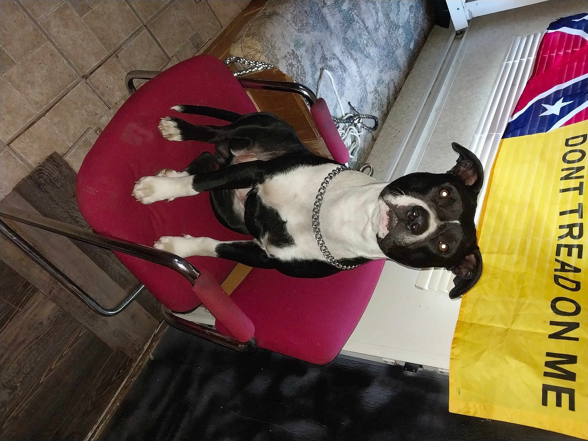 Rufus