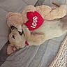 dog, puppy, golden_retriever, plush_toy, teddy_bear, heart_shaped_toy, bed, blanket, bedding, indoor, cute, playful, lying_down, upside_down, happy, fluffy, pet, collar, cozy, photograph