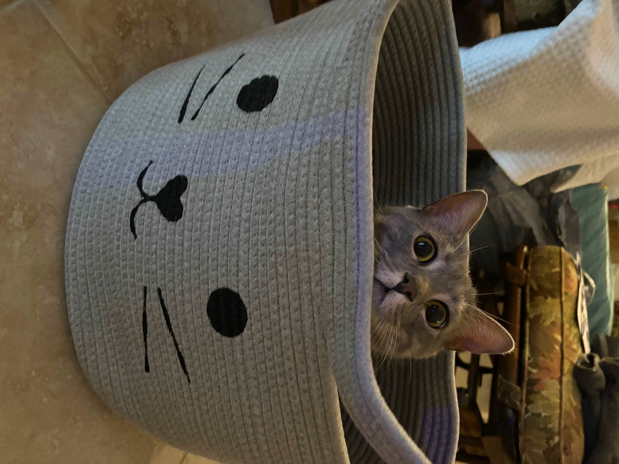 Winnie is registered to the contest to win money with this photo: art, artifact, auto_part, automotive_exterior, automotive_tire, automotive_wheel_system, bicycle_part, carmine, circle, gas, helmet, metal, pattern, personal_protective_equipment, rim, sculpture, steel, synthetic_rubber, wire, wood