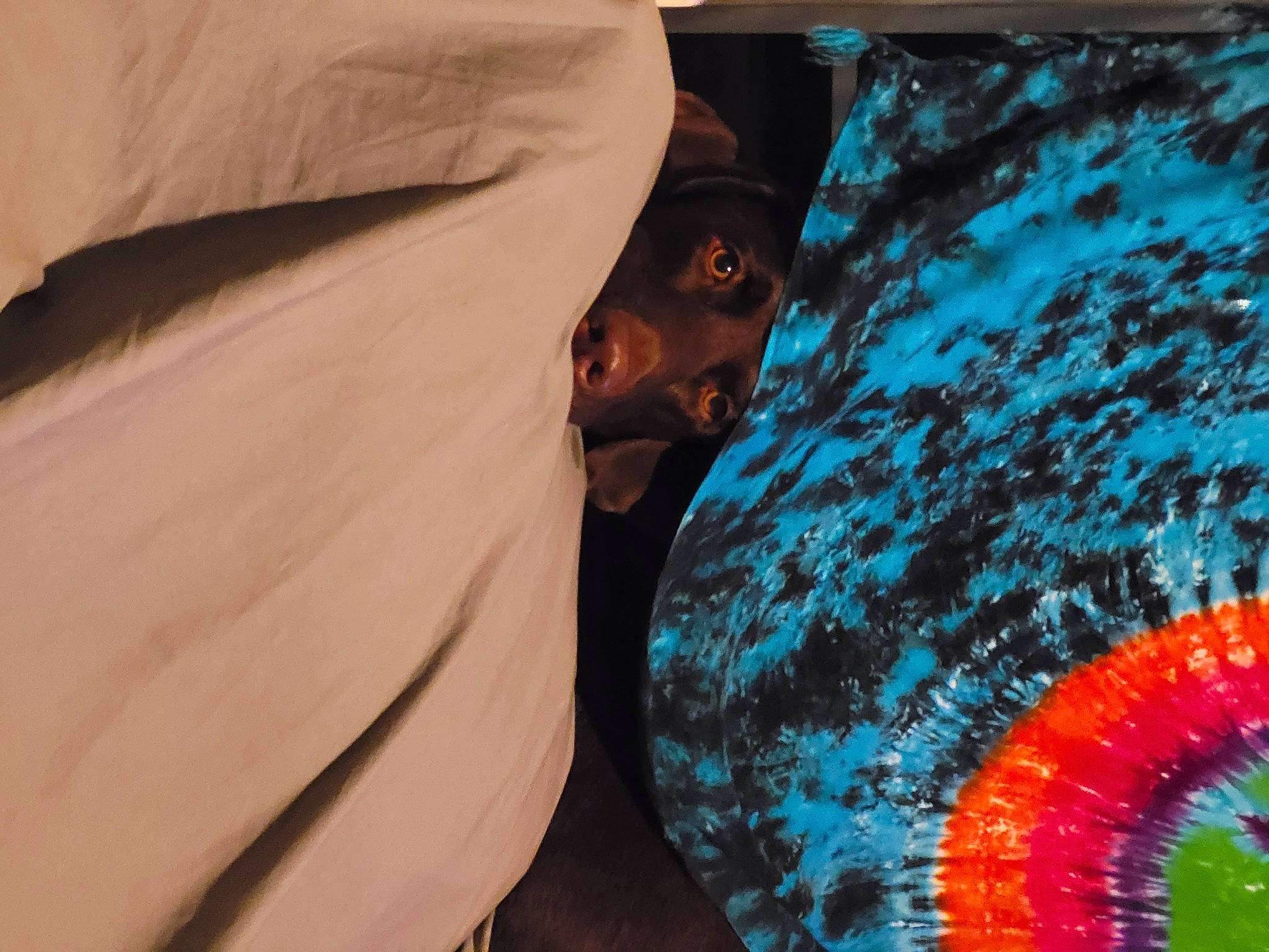 Willow is registered to the contest to win money with this photo: art, automotive_wheel_system, darkness, electric_blue, event, fashion_accessory, fun, landscape, leisure, pattern, recreation, t_shirt, tints_and_shades, visual_arts