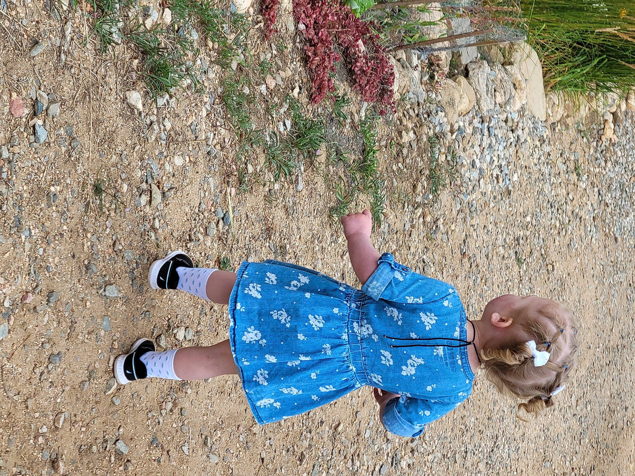 Elora joined the competition — help win amazing prizes! child, electric_blue, foot, fun, grass, grass_family, happy, human_body, human_leg, leisure, pattern, people_in_nature, person, plant, play, sand, shadow, soil, street_fashion, walking_shoe