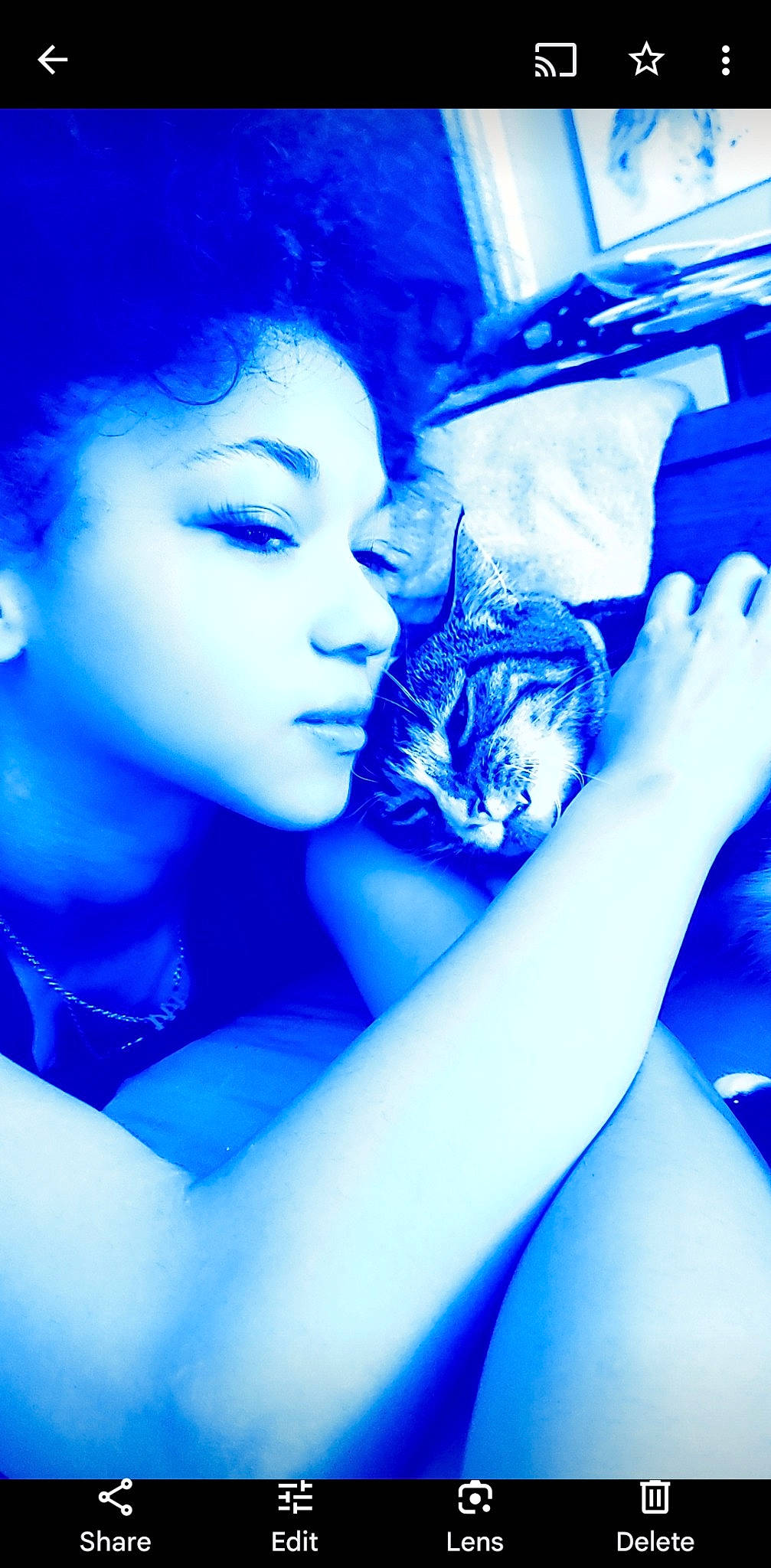 Flower joined the competition — help win amazing prizes! aqua, azure, black_hair, blue, carnivore, cat, comfort, electric_blue, felidae, flash_photography, formal_wear, fun, fur, gesture, happy, nail, purple, small_to_medium_sized_cats, tree, whiskers