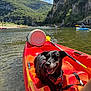 adventure, animal, clouds, dog, greenery, happy, harness, kayak, landscape, leisure, mountains, nature, outdoor, paddle, recreation, river, rocks, sky, sunlight, water
