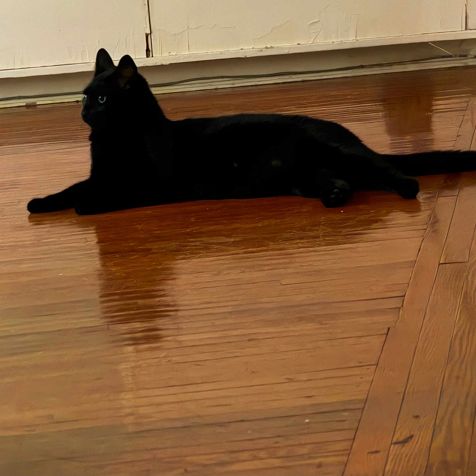 Salem