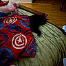 Salem joined the competition — help win amazing prizes! cat, black_cat, blanket, bed, plush_toy, unicorn, wooden_floor, indoor, sleeping, cozy, red, blue, green, soft_toys, furniture, relaxing, quiet, resting, animal, cute
