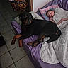 bed, blanket, child, companion, cozy, dim_lighting, dog, hand, home, indoor, patterned_dress, person, phone, pillow, purple_bed, quiet, resting, rottweiler, sleeping, tile_floor