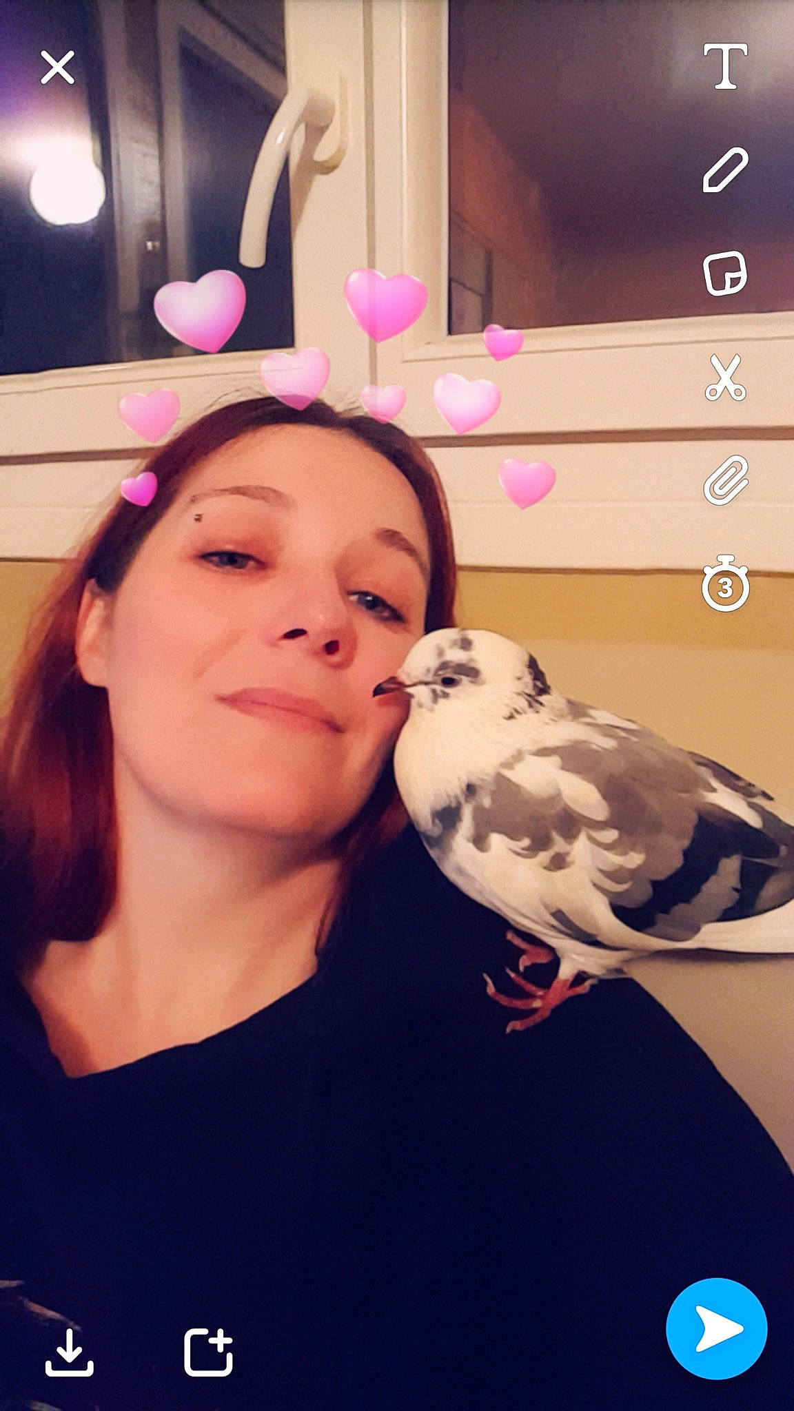 Francoeur participe au concours pour gagner de l'argent avec cette photo : bird, cheek, chin, face, forehead, hair, head, headwear, neck, nose, person, photography, pink, selfie, skin