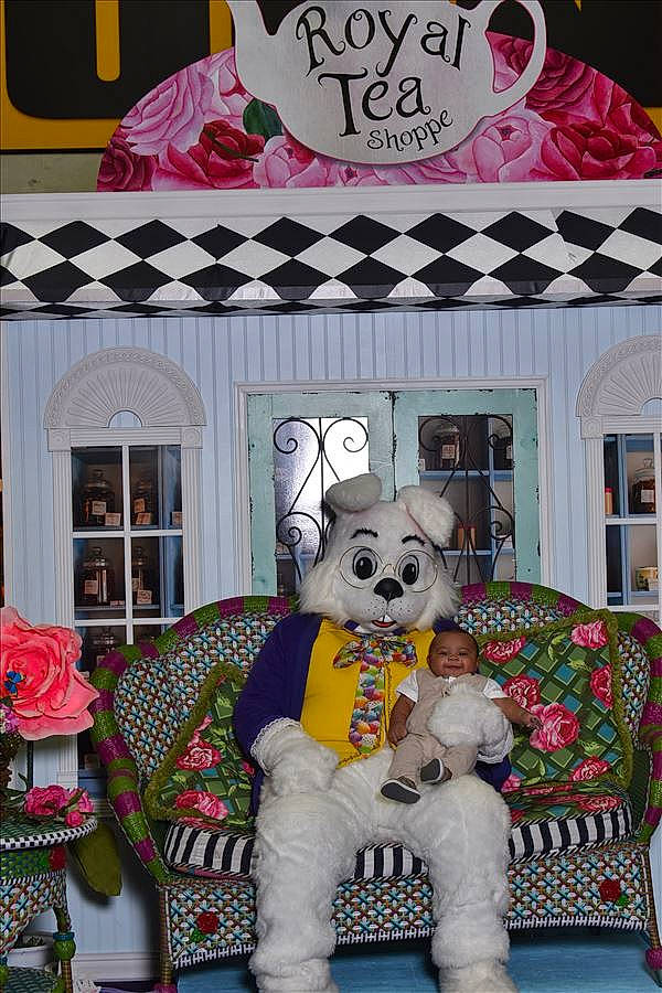 Allen joined the competition — help win amazing prizes! art, companion_dog, design, font, green, interior_design, mammal, ornament, pattern, person, pink, plush, room, serveware, shelving, snapshot, stuffed_toy, textile, toy, white