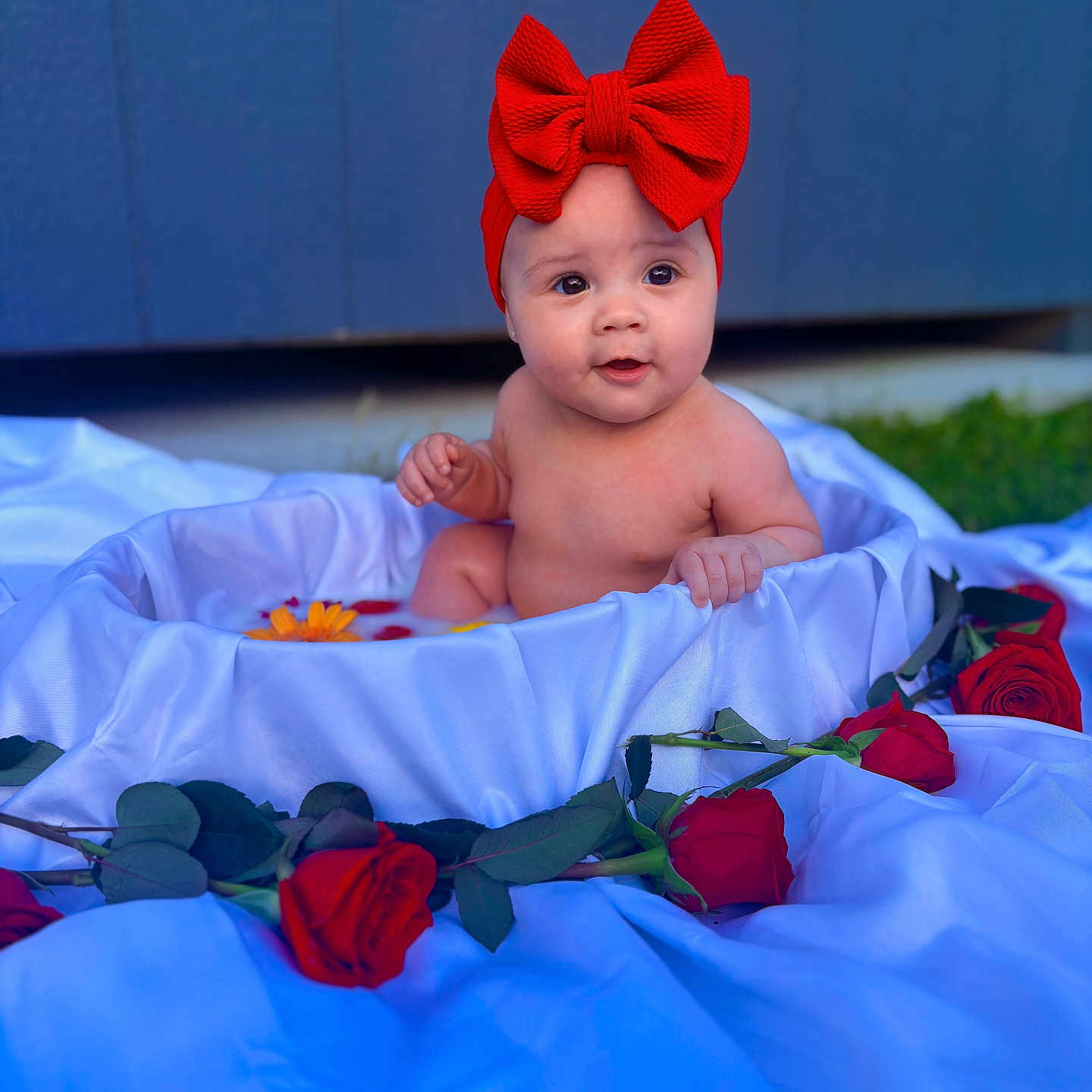 Alaia