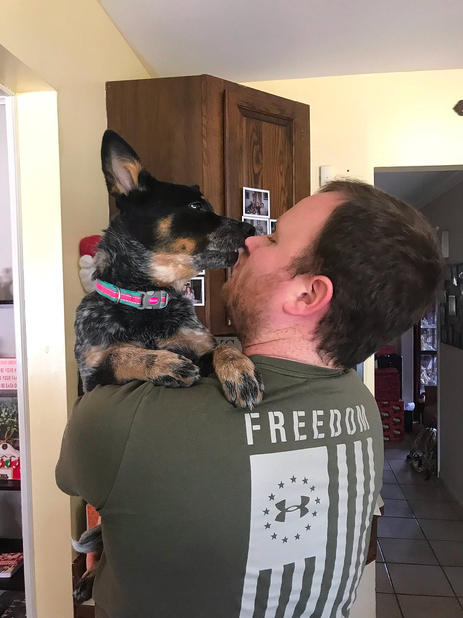 Riley is registered to the contest to win money with this photo: canidae, carnivore, companion_dog, dog, dog_breed, ear, fur, miniature_pinscher, t_shirt