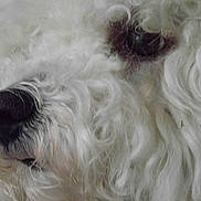 Doudou participe au concours pour gagner de l'argent avec cette photo :