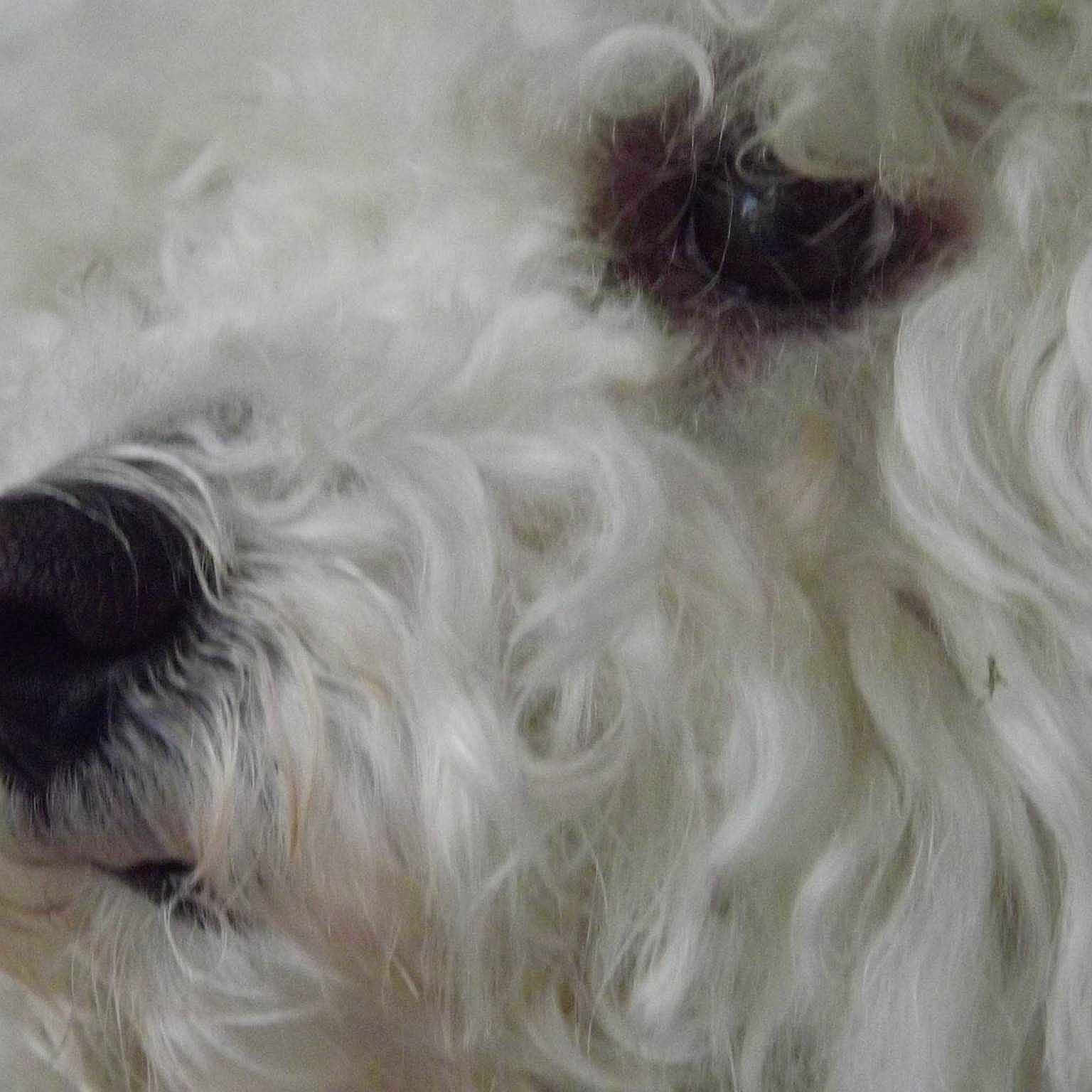 Doudou