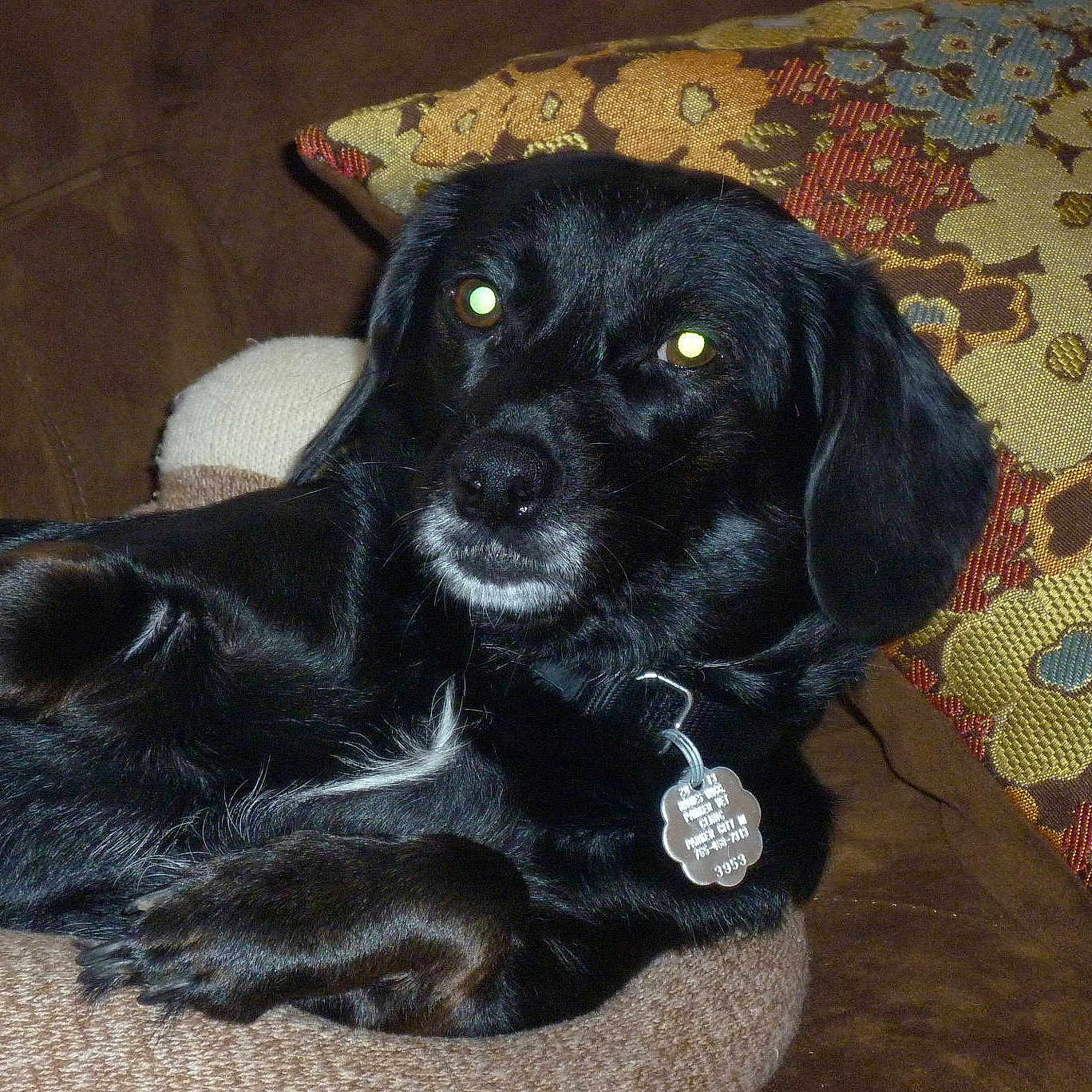 Princess is registered to the contest to win money with this photo: