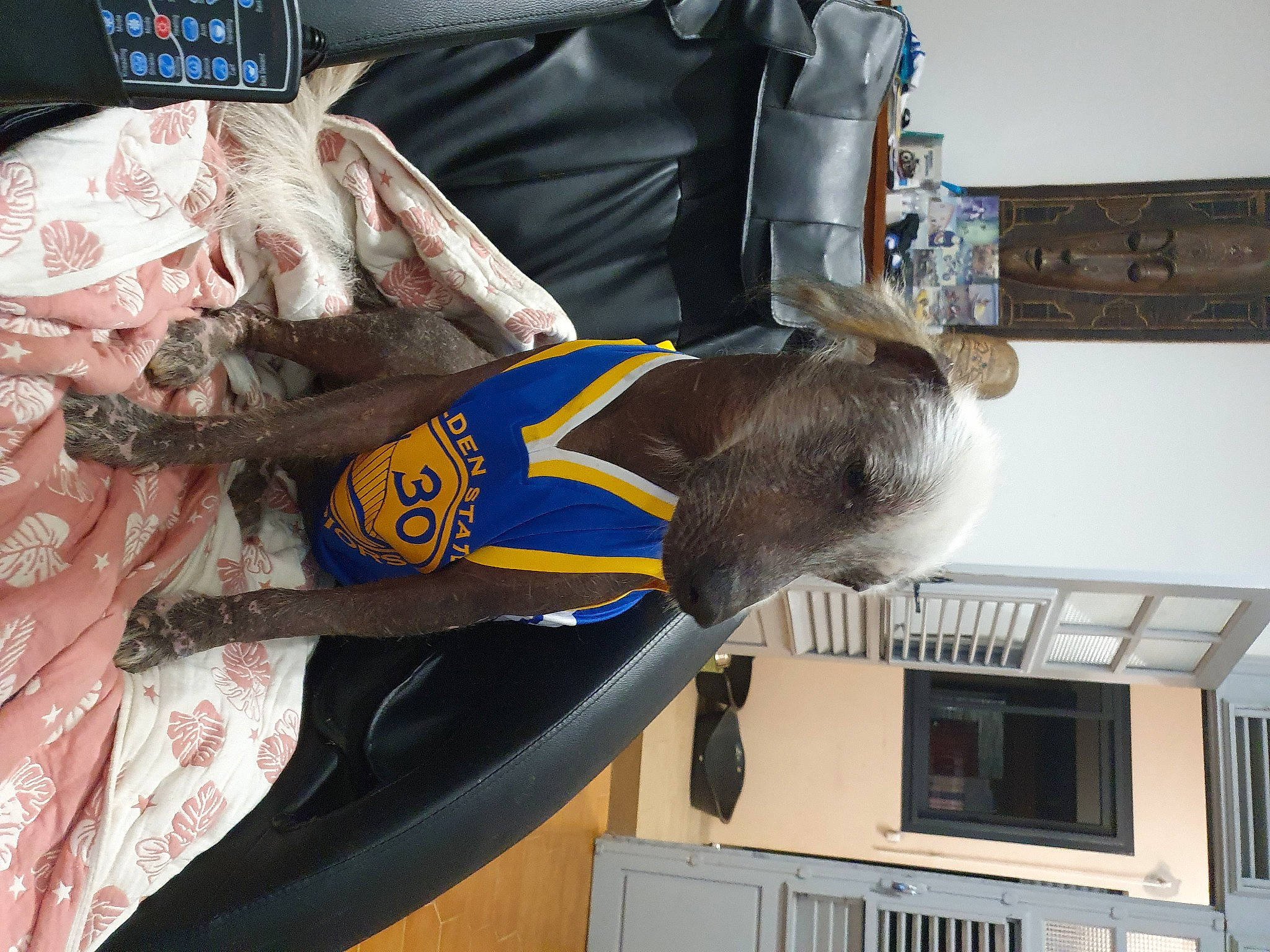 Papou a rejoint le concours — aidez-le/la à gagner de superbes lots ! advertising, banner, elbow, flag, fur, linens, logo, room, sleeve, sportswear, street_fashion, t_shirt, textile, tie, window