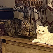 Rowan joined the competition — help win amazing prizes! animal, cat, ceramic_cat, contrast, curious, decor, domestic, eyes, feline, figurine, household, indoor, metal_stand, ornament, pet, resting, striped, tabby_cat, whiskers, wooden_table