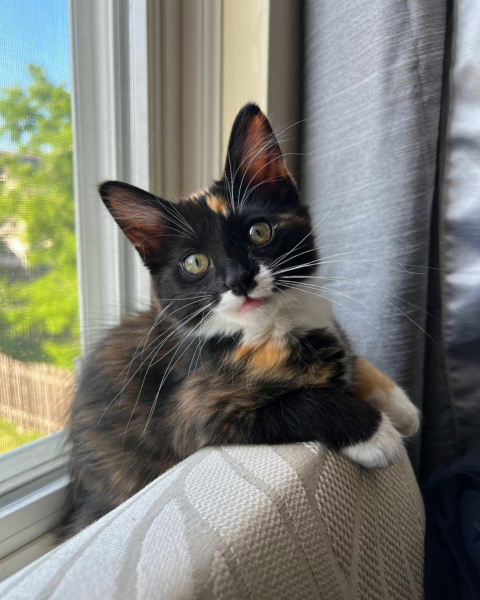 Snickers
