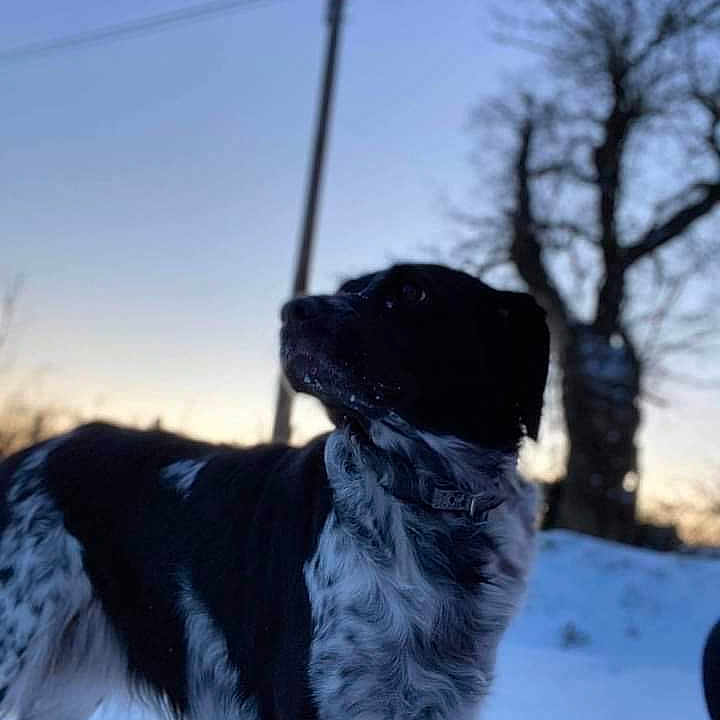 Nina