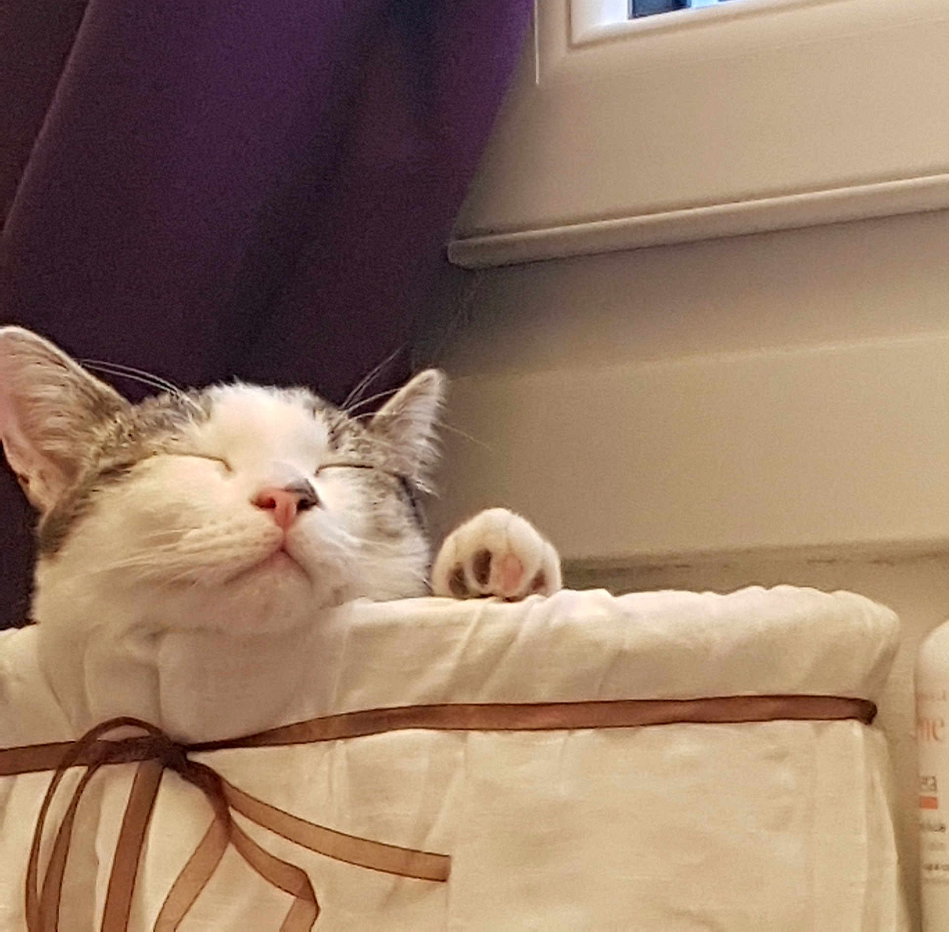 Peanut