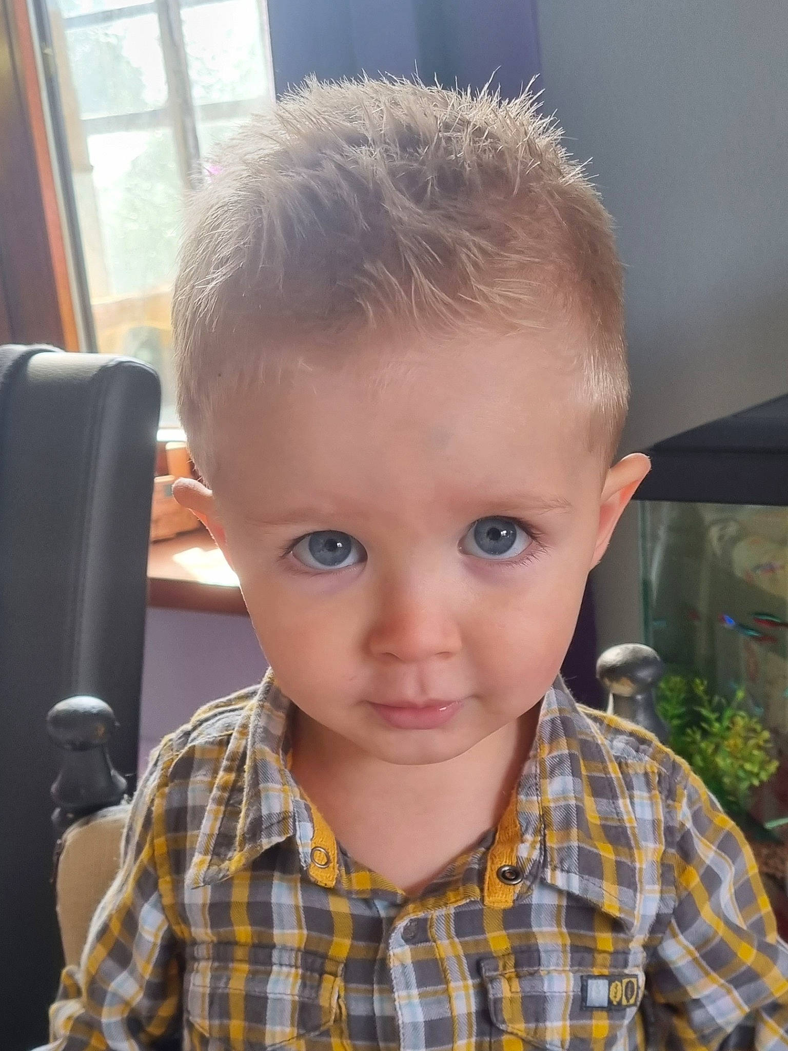 Thyago a rejoint le concours — aidez-le/la à gagner de superbes lots ! cheek, child, chin, design, ear, eyebrow, eyelash, forehead, fun, hairstyle, iris, jaw, lip, mouth, nose, pattern, person, plaid, plant, tartan