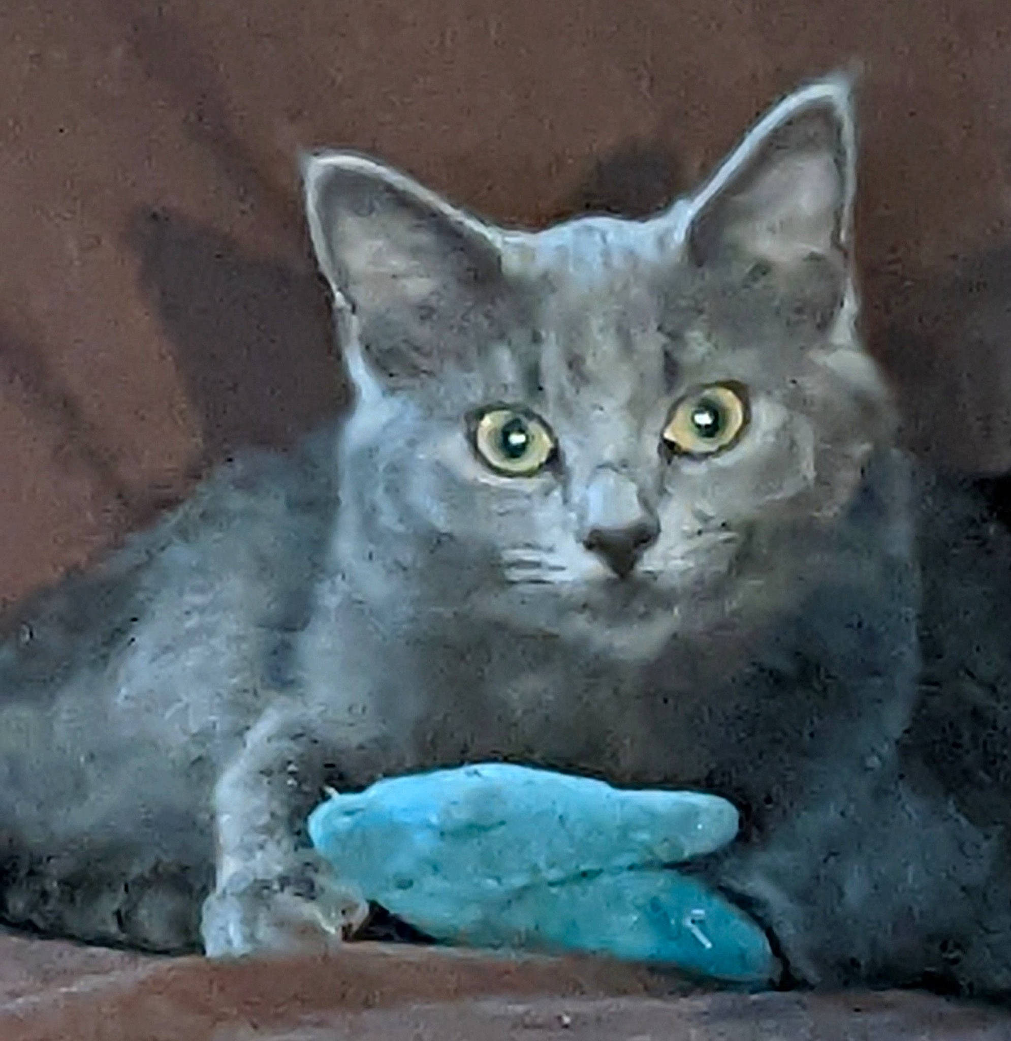Blue is registered to the contest to win money with this photo: art, art_paint, carnivore, cat, cat_supply, domestic_short_haired_cat, felidae, fur, grey, sculpture, small_to_medium_sized_cats, snout, terrestrial_animal, whiskers, window