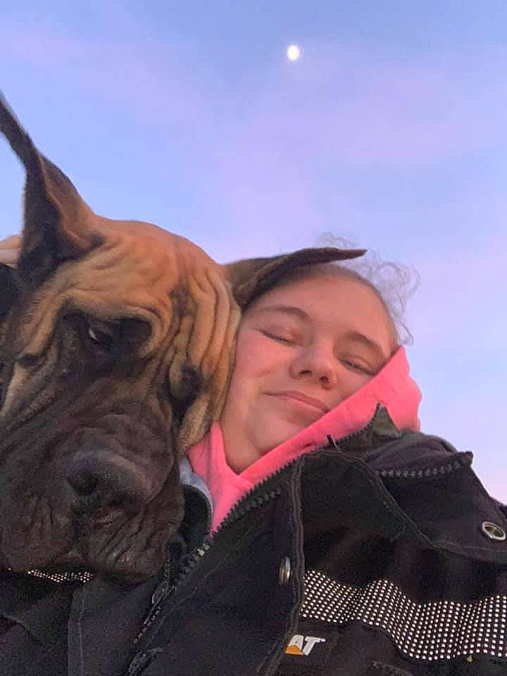 Loki joined the competition — help win amazing prizes! bullmastiff, cane_corso, canidae, carnivore, companion_dog, dog, dog_breed, fawn, guard_dog, mammal, non_sporting_group, sky, snout, sporting_group