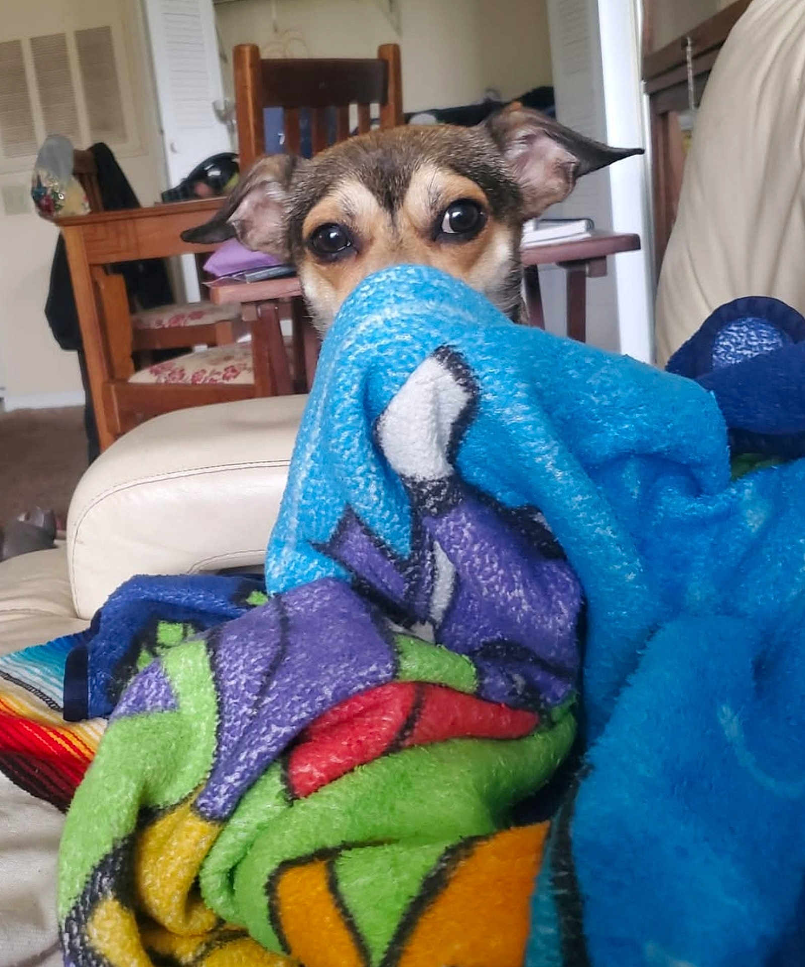 Scooby