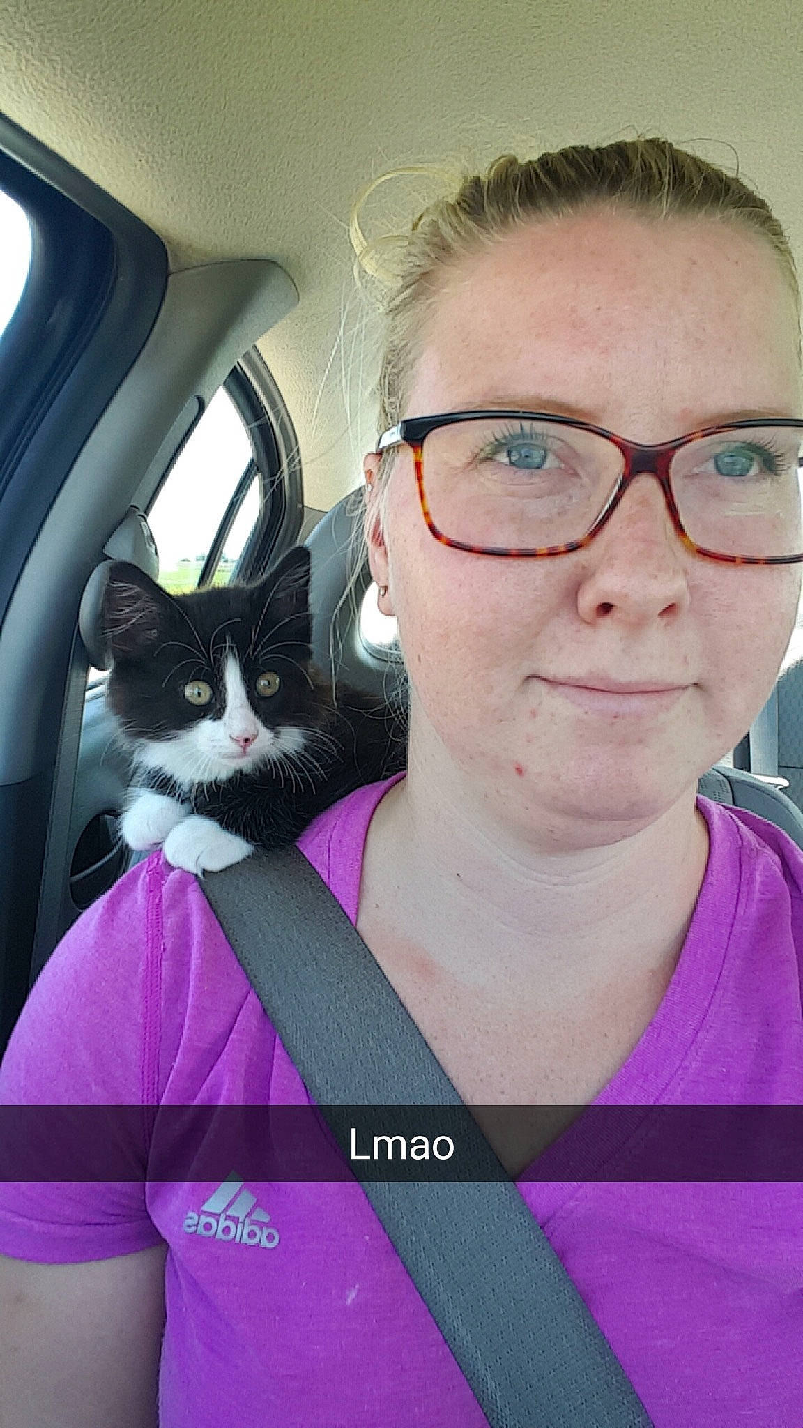 Pierre is registered to the contest to win money with this photo: carnivore, cat, eye, eyebrow, eyewear, felidae, gesture, glasses, happy, iris, jaw, mouth, neck, nose, photograph, shoulder, skin, small_to_medium_sized_cats, smile, vision_care