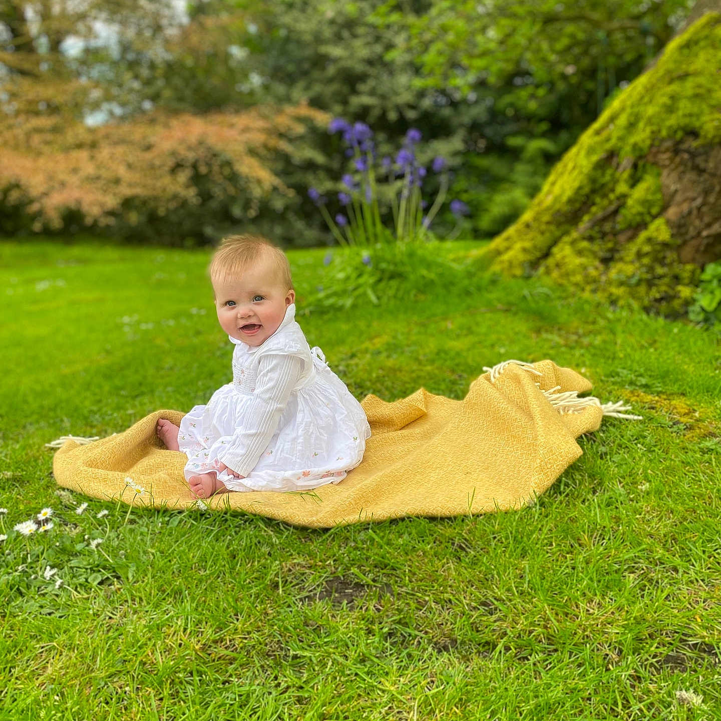 Wilhelmina is registered to the contest to win money with this photo: baby, backyard, blanket, face, field, flower, grass, head, lawn, nature, outdoors, park, person, photography, plant, portrait, sitting, tree, vegetation, yard