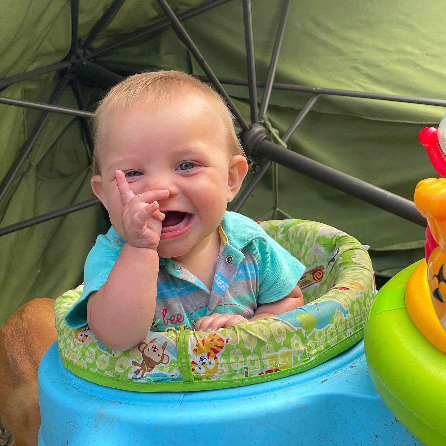 Rj joined the competition — help win amazing prizes! architecture, baby, bodypart, building, face, grass, happy, head, mouth, outdoors, person, photography, plant, portrait, pottedplant, shelter, smile, summer, teeth, water