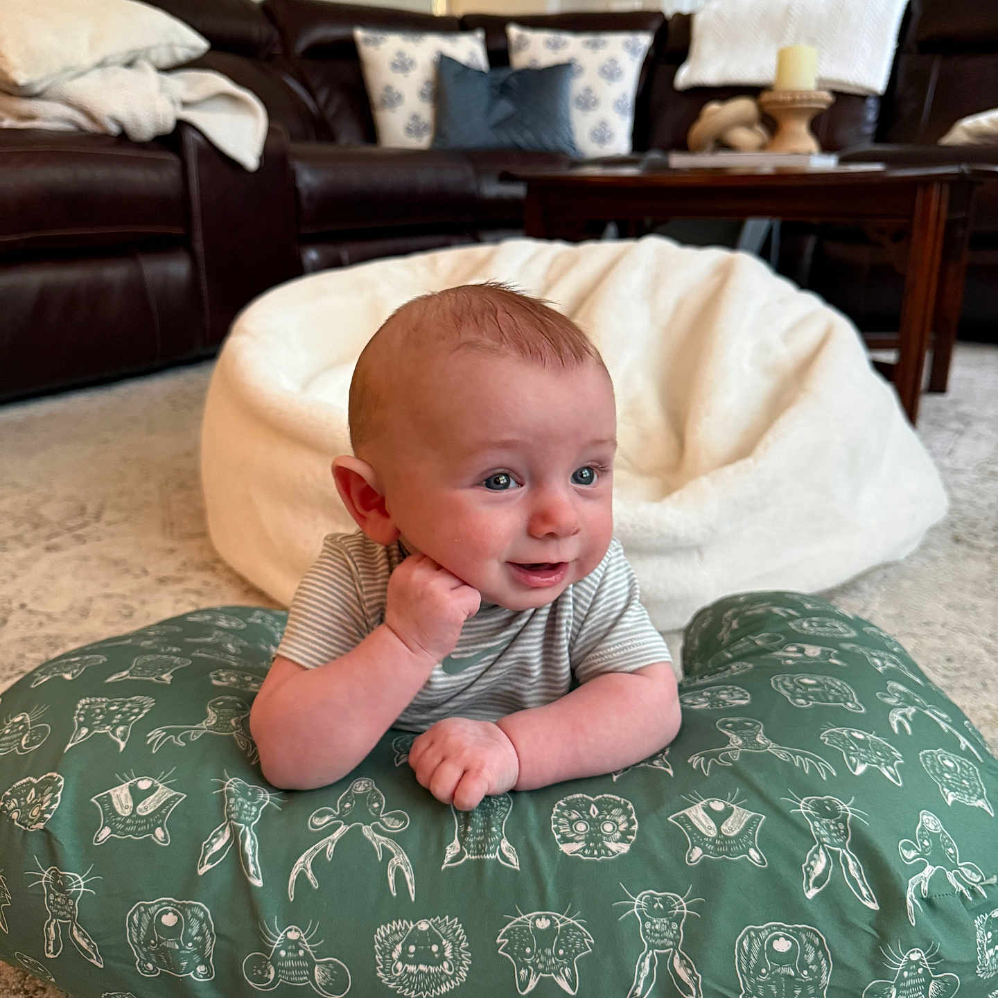 Isaac is registered to the contest to win money with this photo: baby, infant, cushion, green, pattern, smile, face, living_room, carpet, blanket, sofa, pillow, wooden_table, home_interior, cute, person, child, relaxed, bright, indoor
