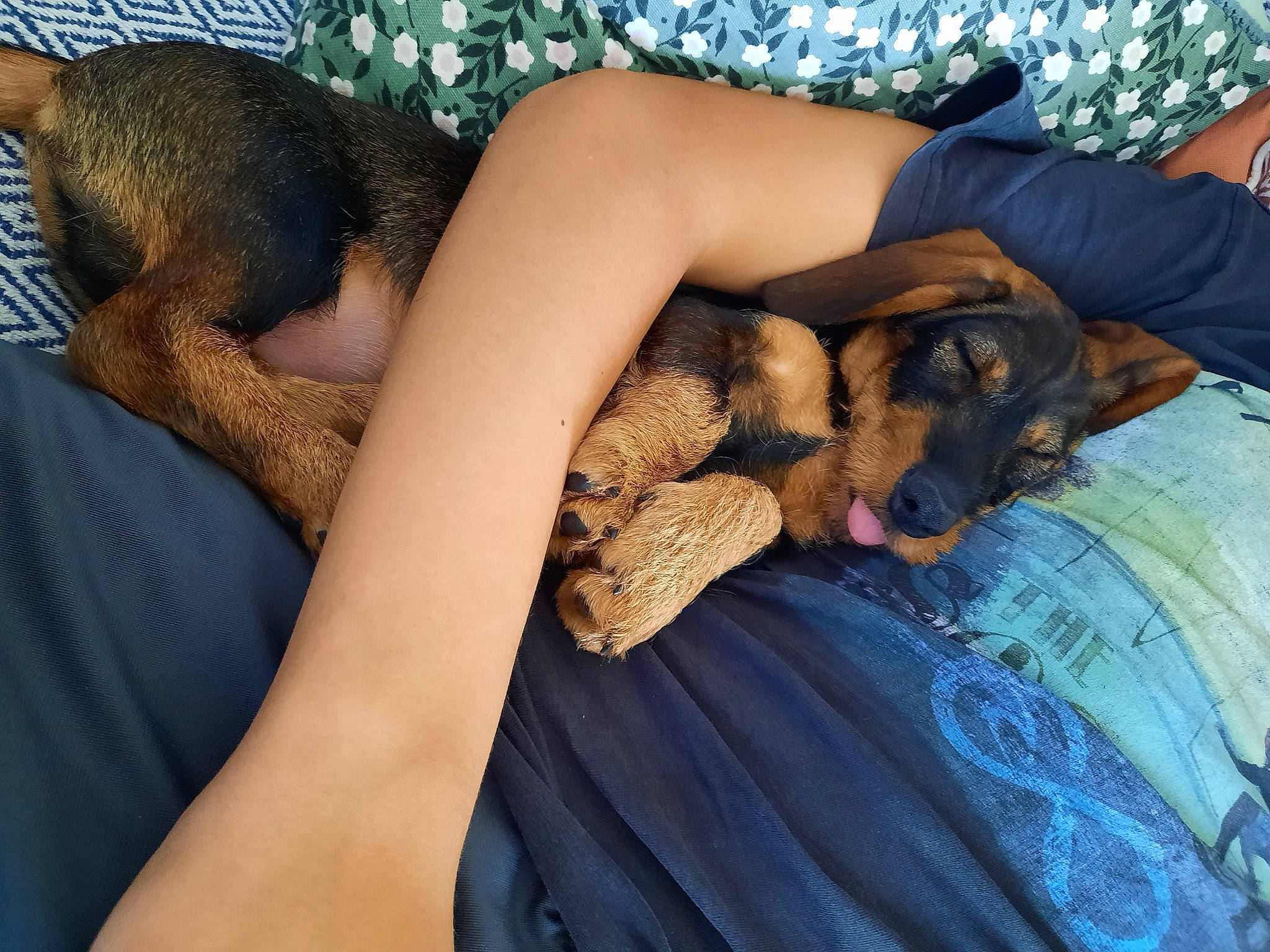 Lucien a rejoint le concours — aidez-le/la à gagner de superbes lots ! abdomen, calf, comfort, denim, elbow, fawn, finger, gesture, hand, human_body, human_leg, jeans, knee, leg, linens, muscle, nail, textile, thigh, wrist