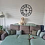 Armel participe au concours pour gagner de l'argent avec cette photo : animal, blanket, clock, cozy, cushions, cute, decor, dog, furniture, golden_retriever, home, indoor, lamp, living_room, pet, plants, puppy, relaxing, sofa, young_dog