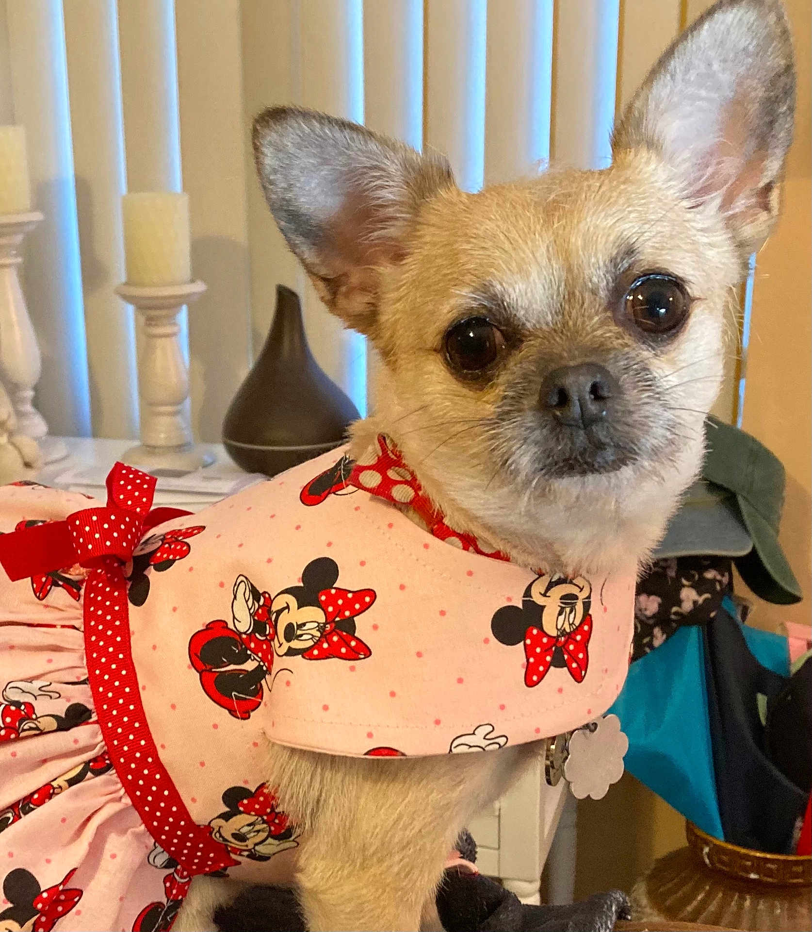 Minnie