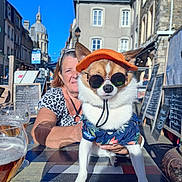 Speed a rejoint le concours — aidez-le/la à gagner de superbes lots ! dog, animal, pet, orange_visor, sunglasses, floral_shirt, table, woman, outdoor, street, building, blue_sky, beer_glass, sunny, smiling, leopard_print, person, casual, summer, urban