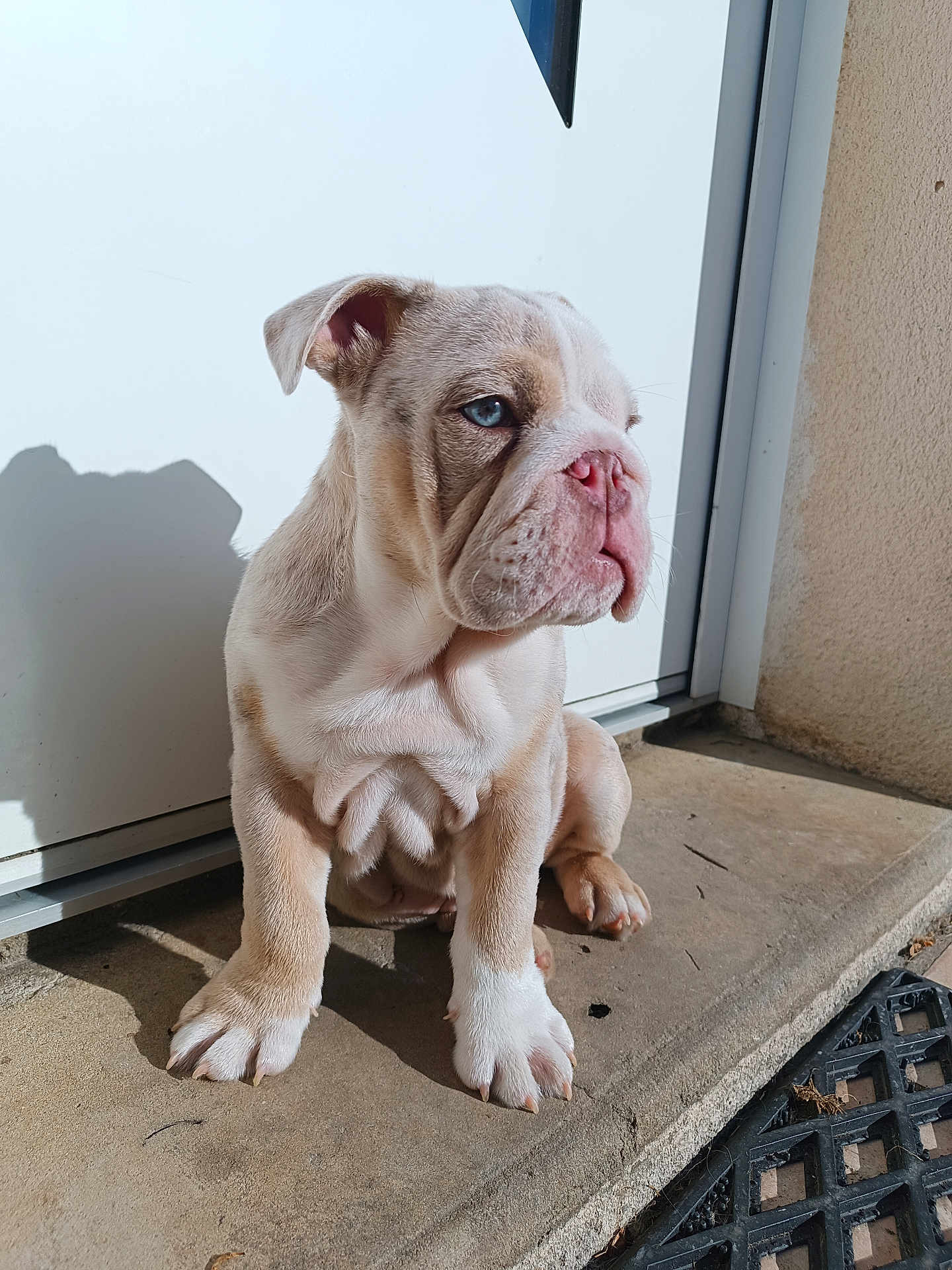 Winston