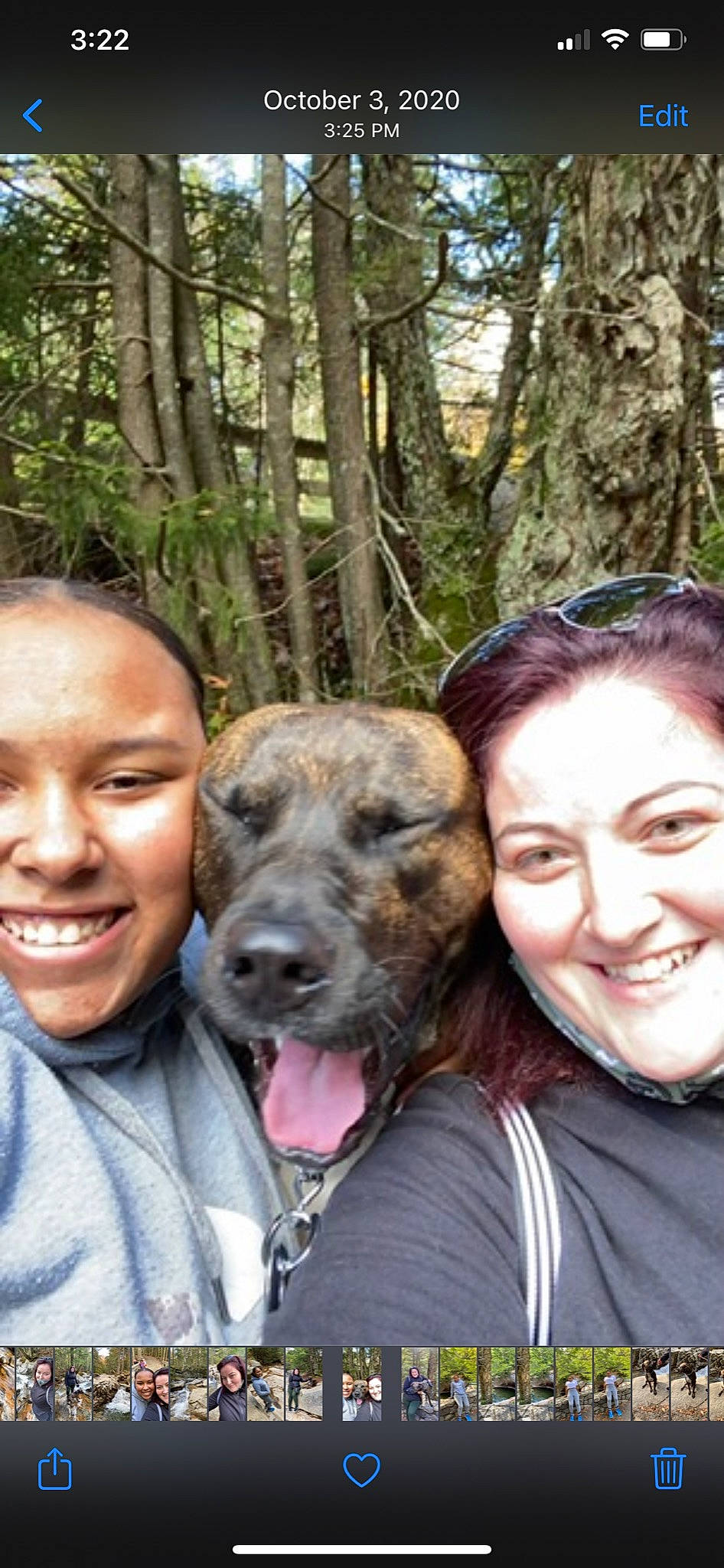 Cain joined the competition — help win amazing prizes! adventure, canidae, carnivore, companion_dog, dog, dog_breed, event, fawn, forest, fun, happy, organ, people, recreation, selfie, smile, snout, sporting_group, tree, wildlife