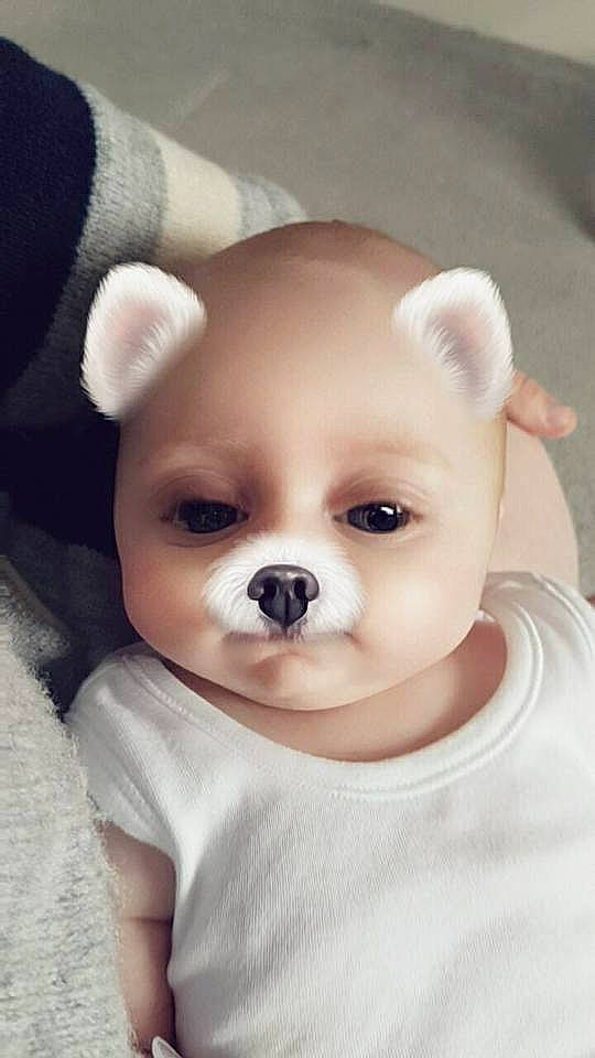 Olivia joined the competition — help win amazing prizes! carnivoran, chihuahua, child, companion_dog, dog, dog_breed, dog_breed_group, dog_like_mammal, ear, infant, non_sporting_group, nose, person, pomeranian, puppy, puppy_love, skin, snout, toy_dog, vertebrate