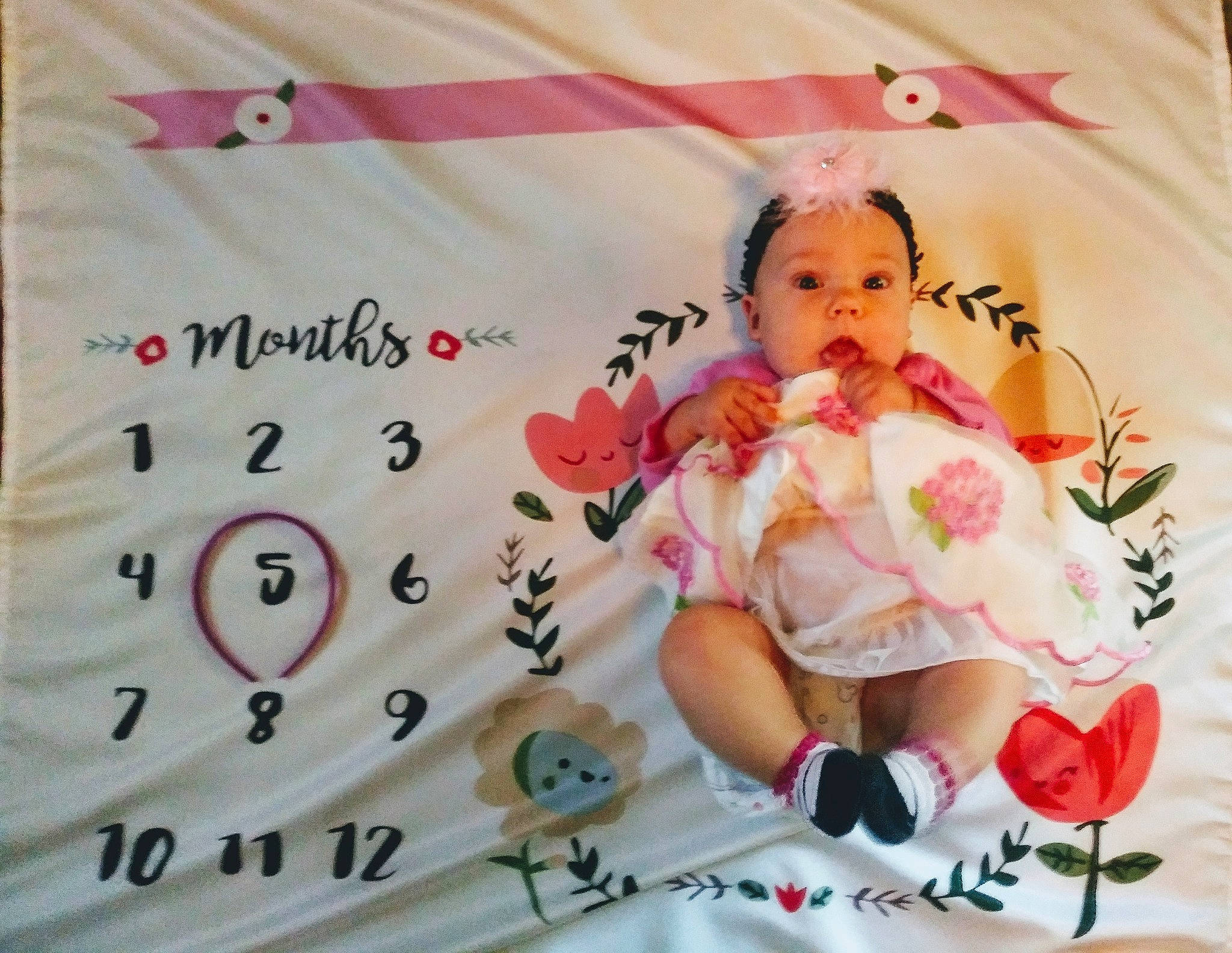 Liliana joined the competition — help win amazing prizes! child, infant, material, person, petal, pink, product, textile, toddler