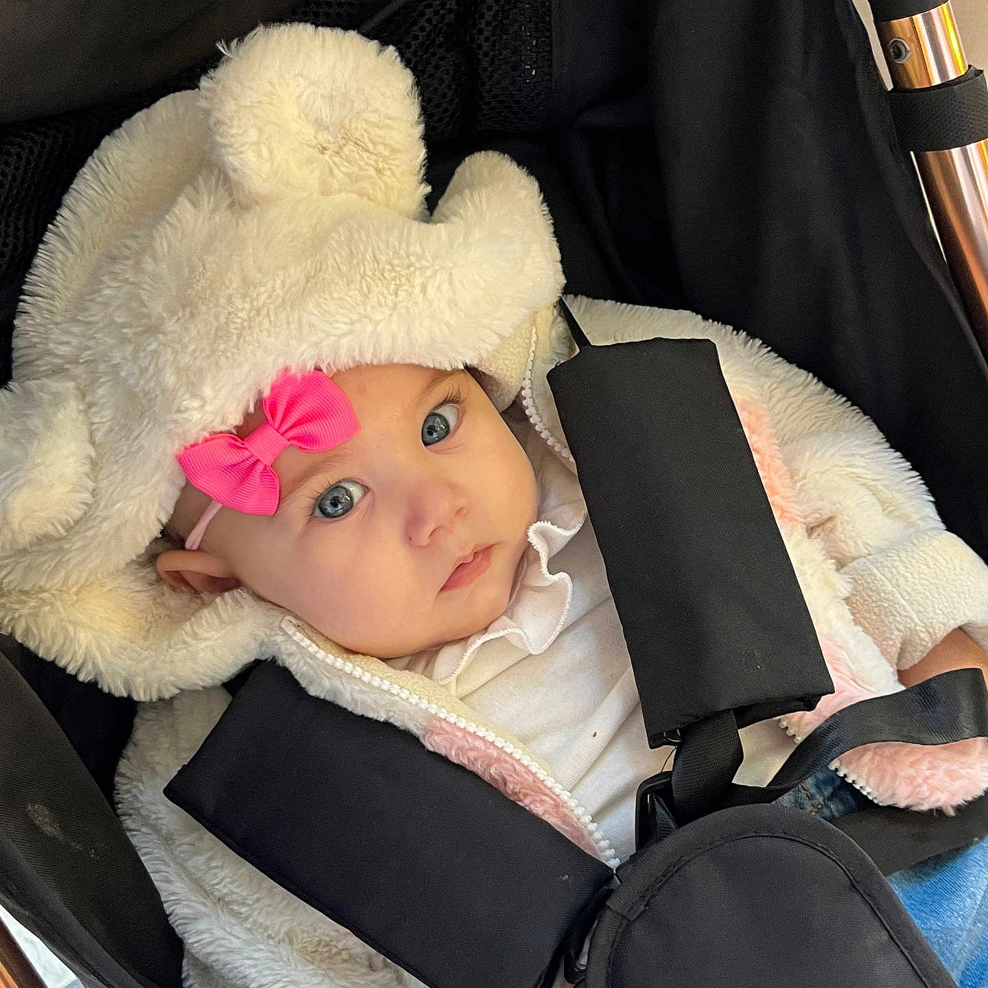 Charlotte participe au concours pour gagner de l'argent avec cette photo : baby, blue_eyes, bundle, child, clothing, cute, expression, face, fur, hood, infant, jacket, outdoor_gear, person, pink_bow, portrait, seatbelt, stroller, warm, young