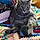 Luffy