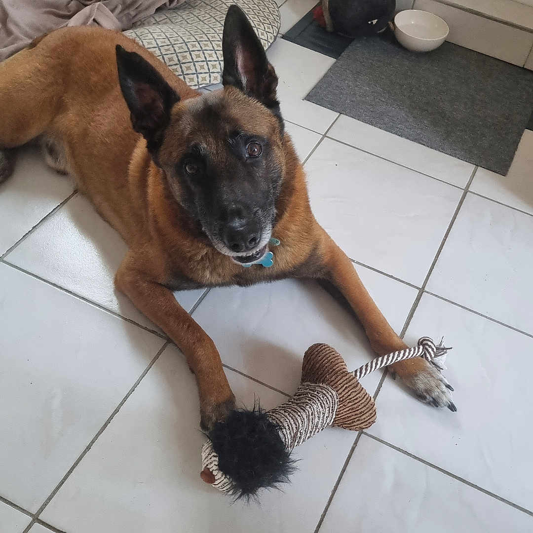 Paquito