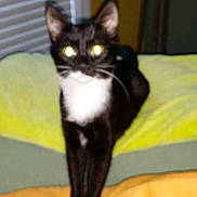 Louie is registered to the contest to win money with this photo: