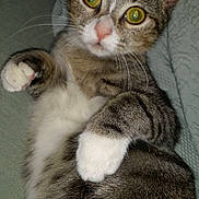 Bella Mi is registered to the contest to win money with this photo: